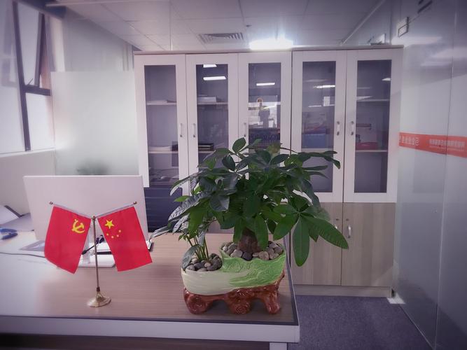 深圳市傲网科技信息技术